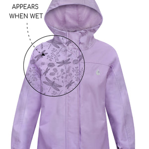 Periwinkle | Dragonfly