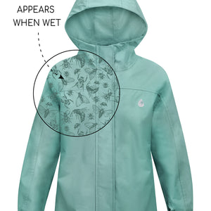 Seafoam | Insect Explorer