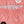 Splash Pant - Sorbet