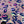 All-Weather Hoodie - Rainbow Leopard (2026)