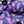 Snowrider Ski Jacket - Butterfly