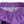 NEW! Storm Pant - Violet