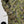 All-Weather Hoodie - Geo Camo | Waterproof Windproof Eco
